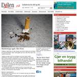 Sør-Fron blir røykfri kommune